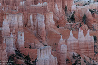 Bryce Canyon Sunrise Point EM8A9683