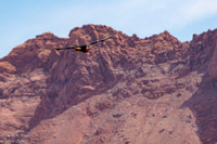Navajo Bridge EM8A3727